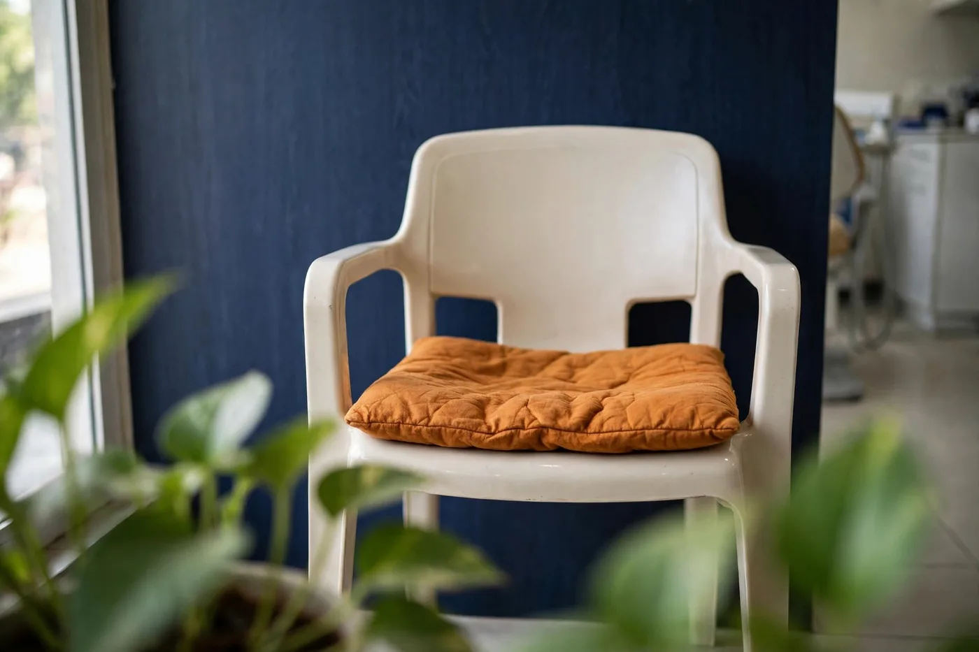 A quiet corner — The amber cushion in the waiting area, money plant alongside.